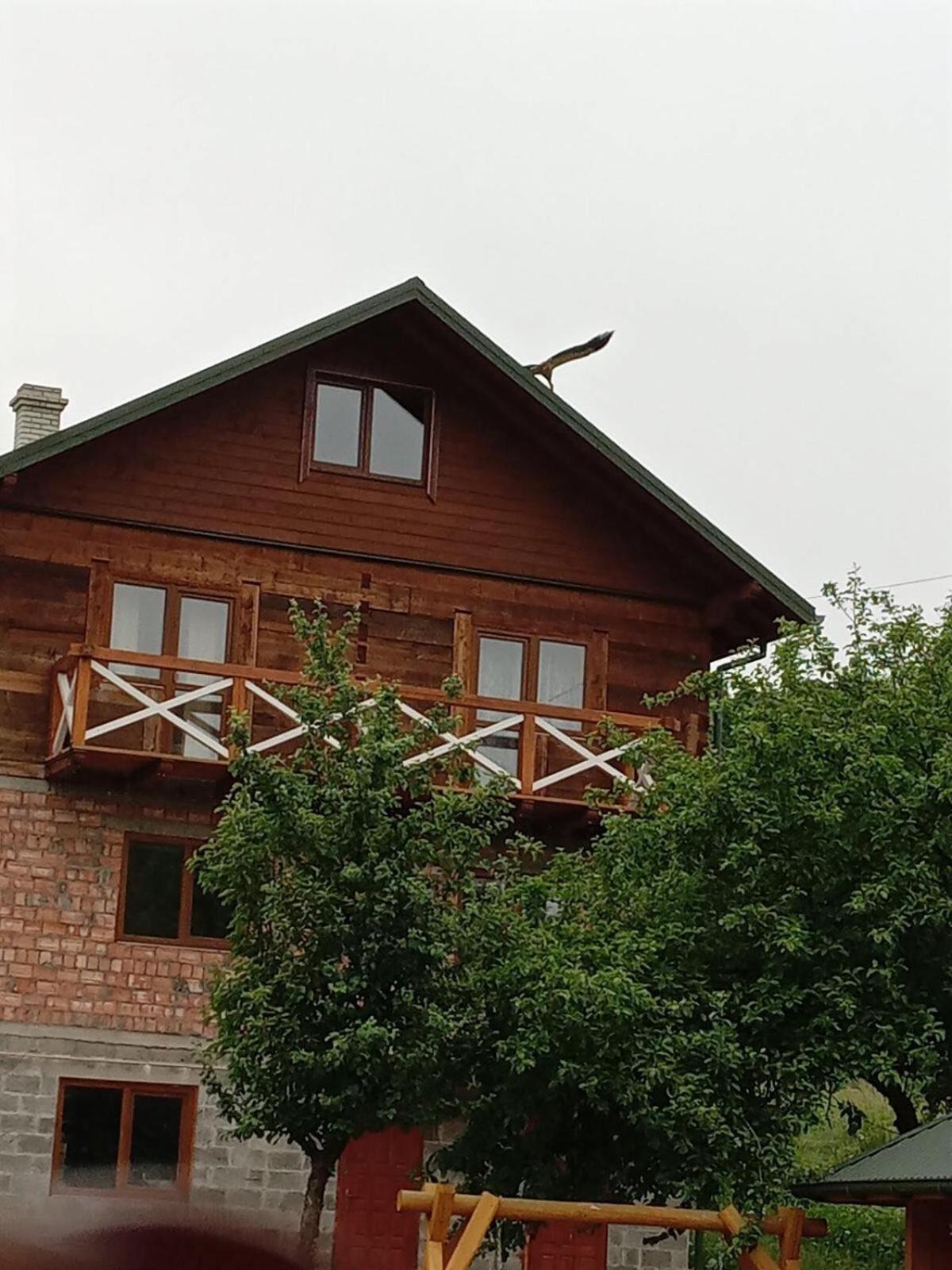Золота Рибка Slavske Exterior foto